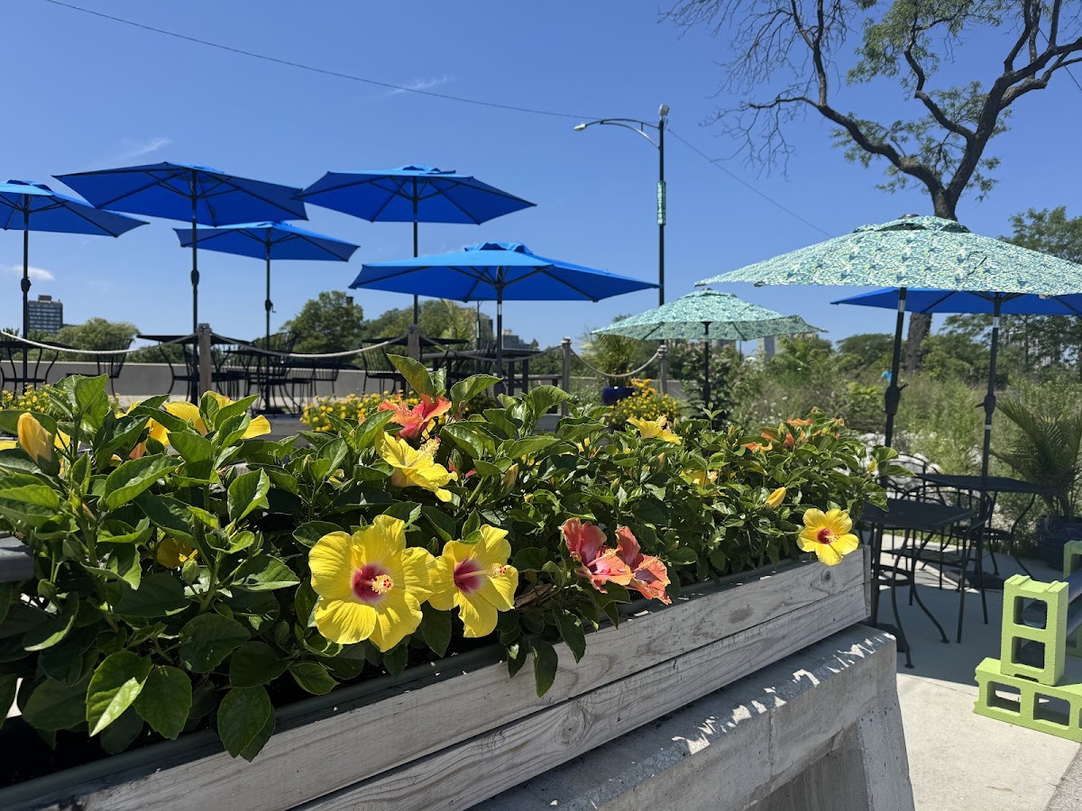 Sandbox Beach Cafe Photos 2